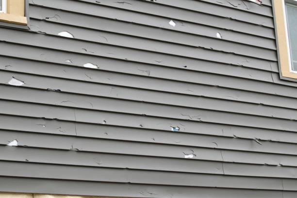 Custom Trim and Detailing for Siding in Virginia, IL